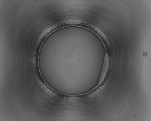 X0000094370930200711241956