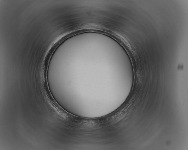 X0000094370931200711241956