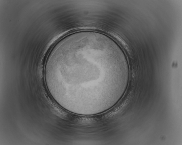 X0000094370933200711241956