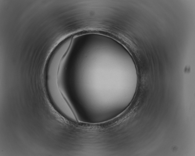 X0000094370934200711241956