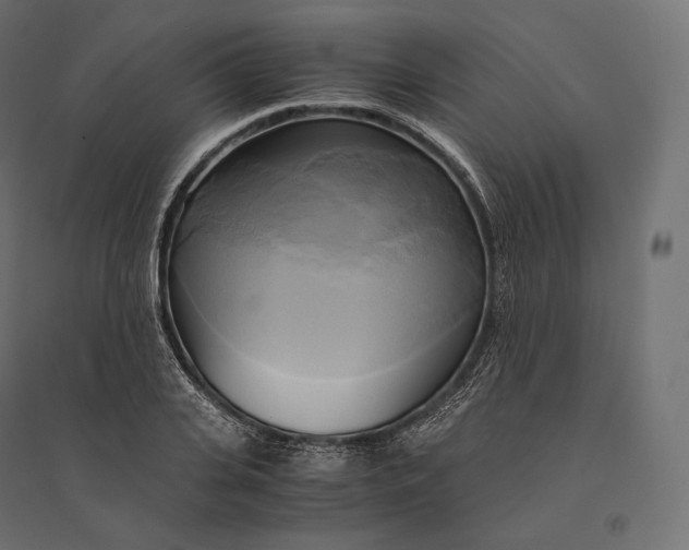 X0000094370935200711241956