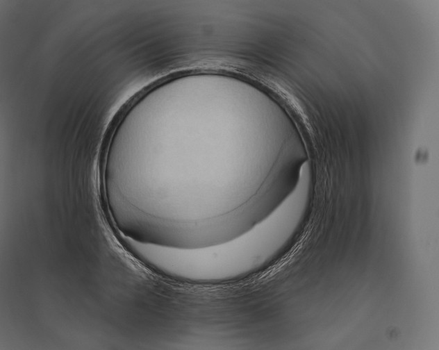 X0000094370936200711241956