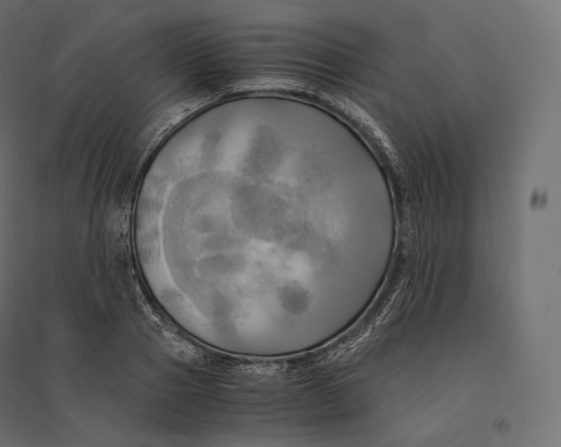 X0000094370937200711241956