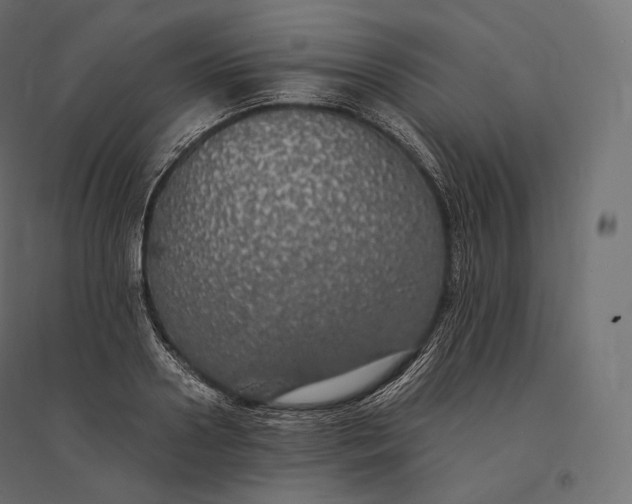 X0000094370938200711241956