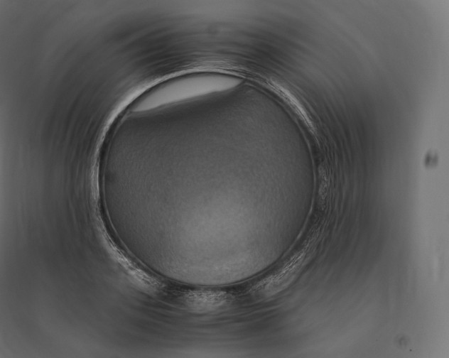 X0000094370939200711241956