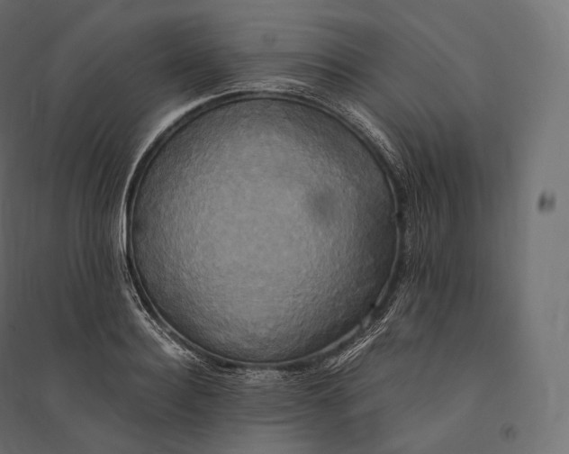 X0000094370940200711241956