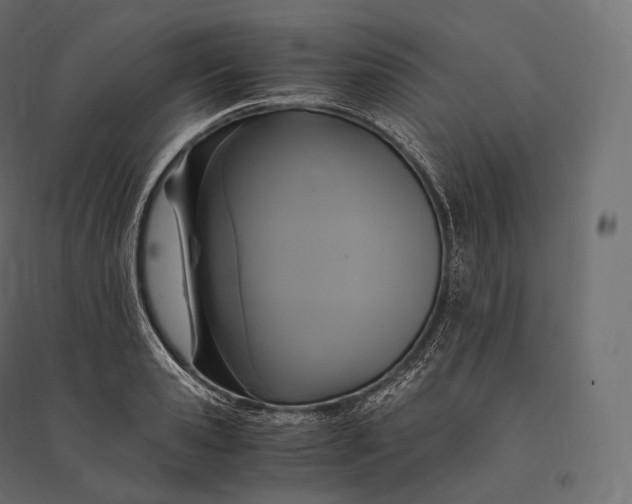 X0000094370941200711241956