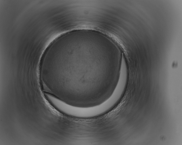 X0000094370942200711241956