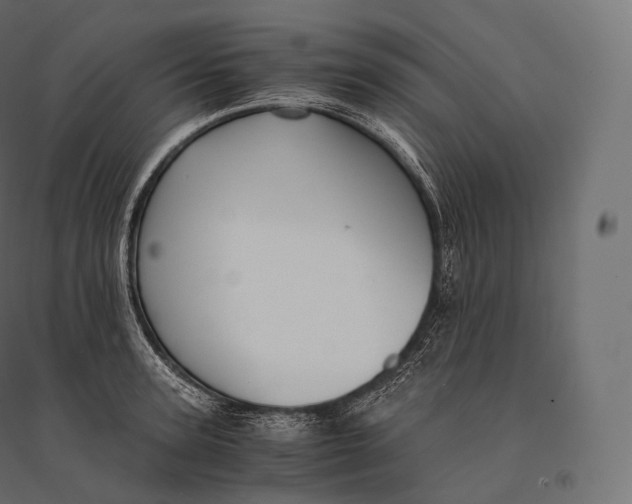 X0000094370947200711241957