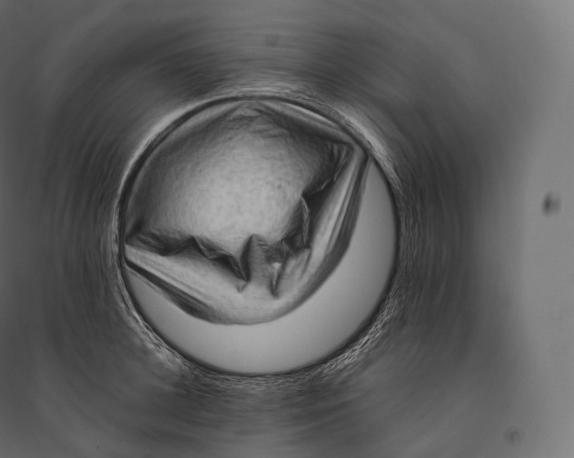 X0000094370948200711241957