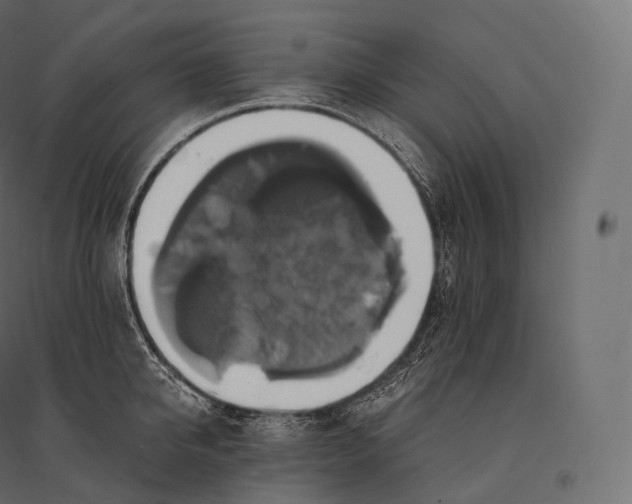 X0000094370950200711241957