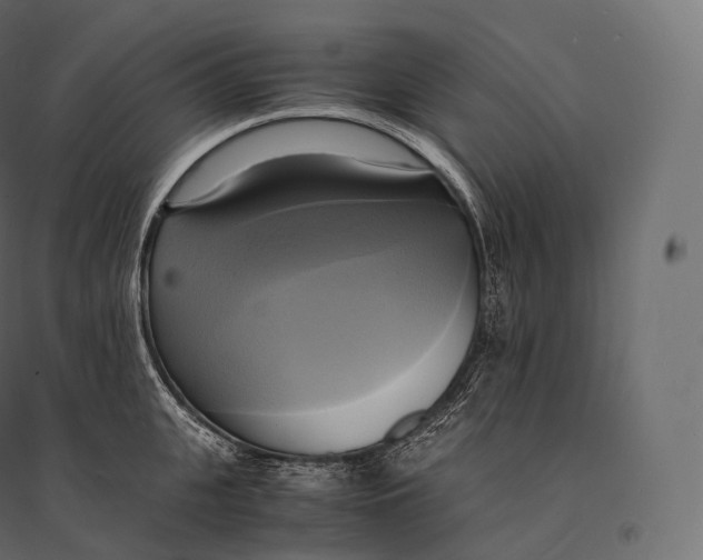 X0000094370951200711241957