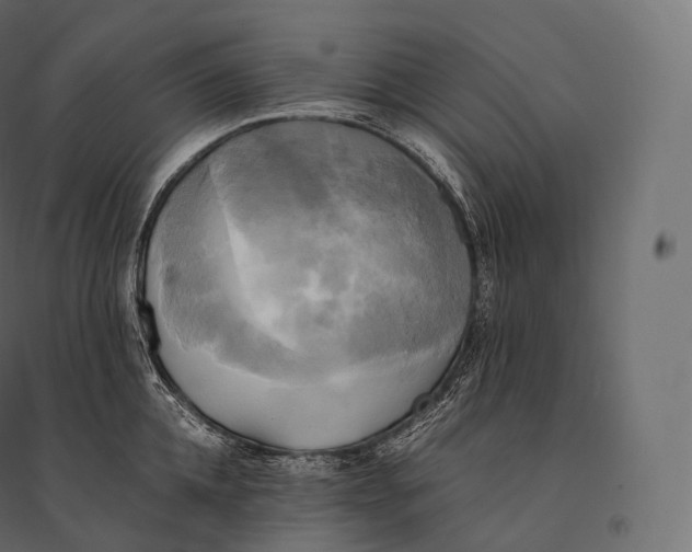 X0000094370952200711241957