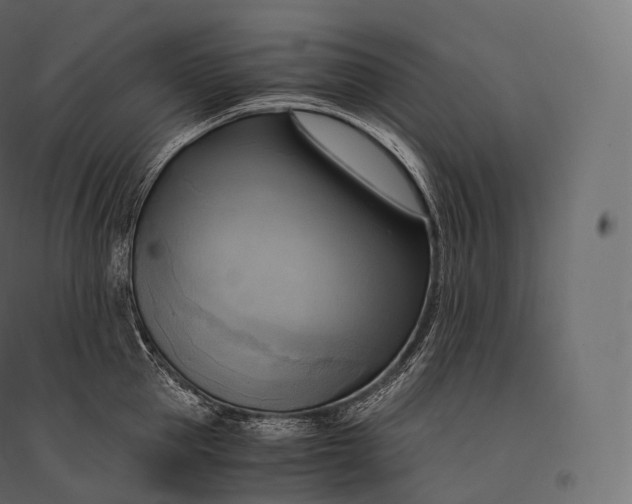 X0000094370953200711241957