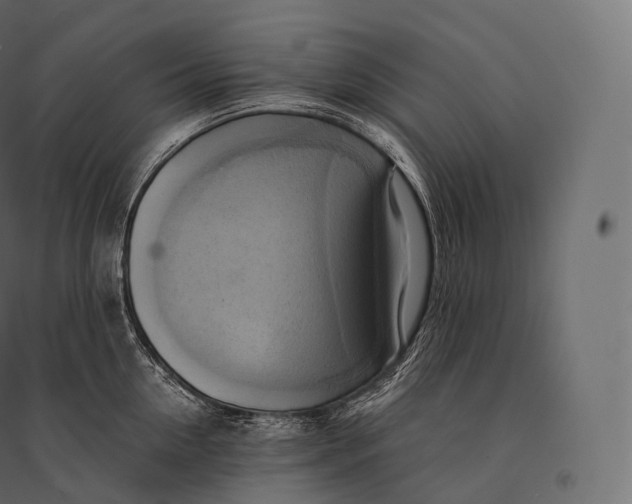 X0000094370954200711241957