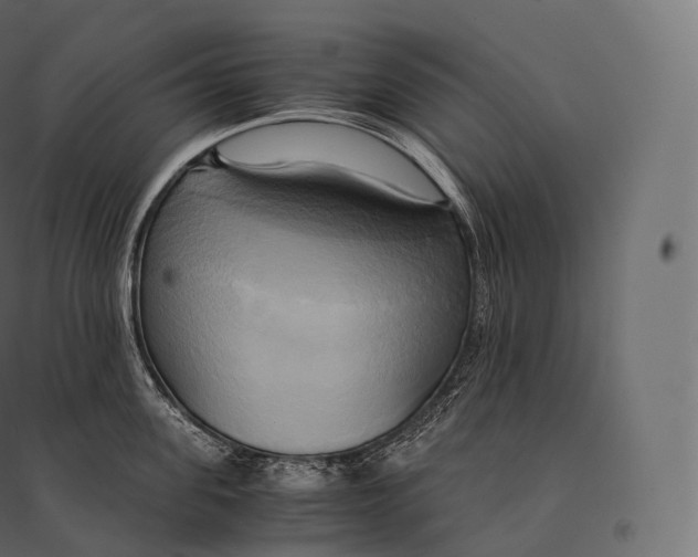 X0000094370955200711241957