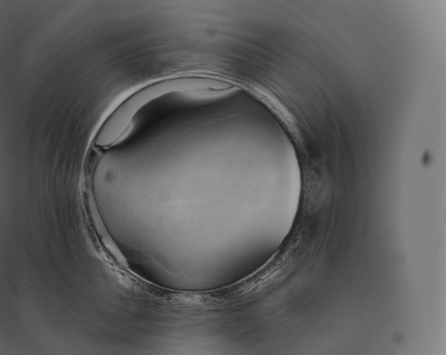 X0000094370956200711241957