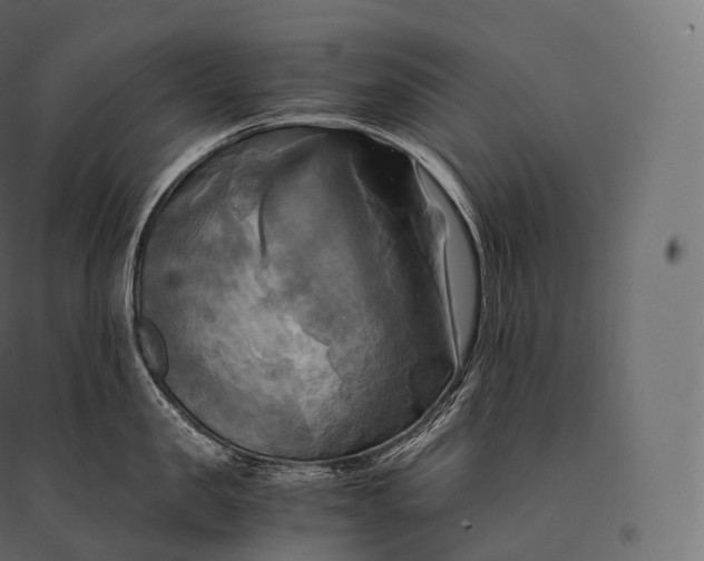 X0000094370957200711241957