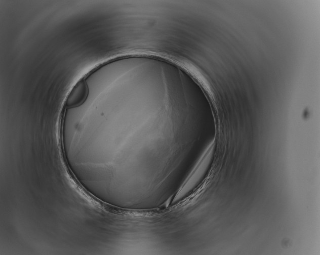 X0000094370958200711241957