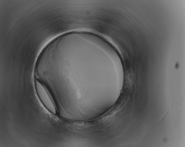 X0000094370959200711241957