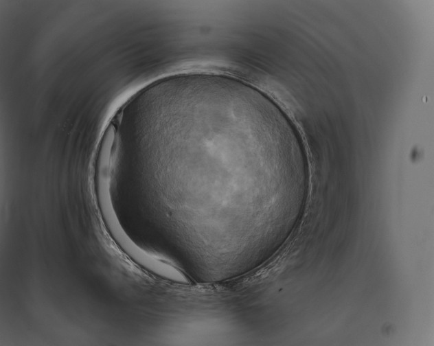 X0000094370960200711241957