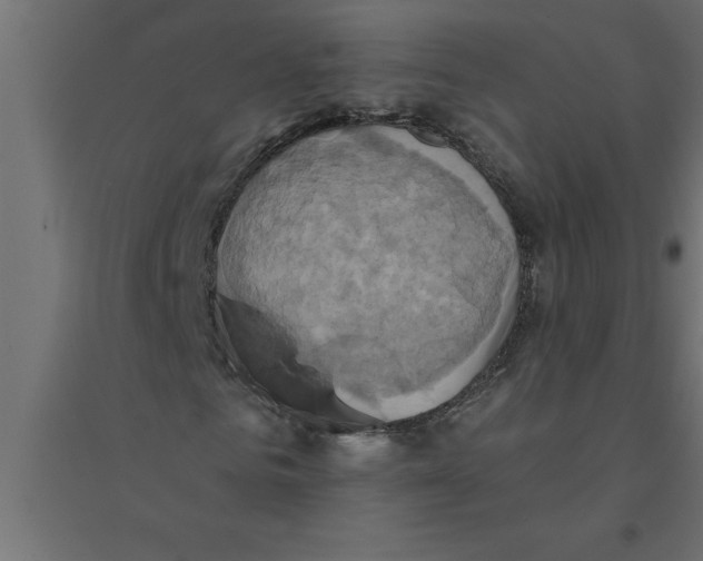 X0000094370961200711241956