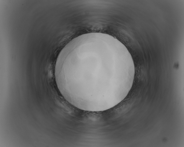 X0000094370962200711241956