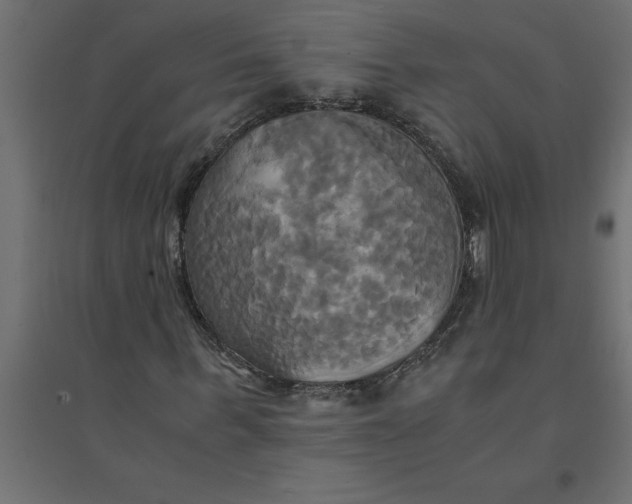 X0000094370963200711241956