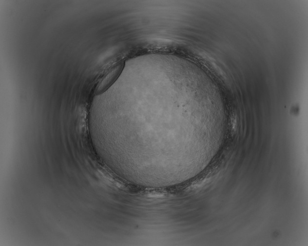 X0000094370964200711241956