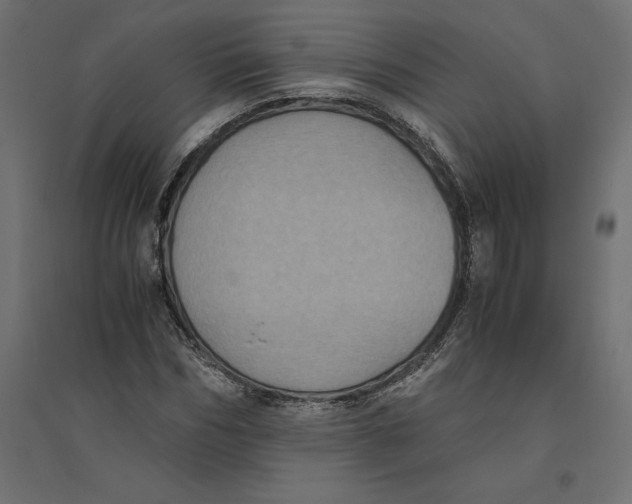 X0000094370970200711241956