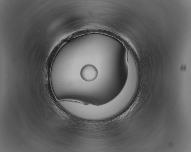 X0000094370973200711241956