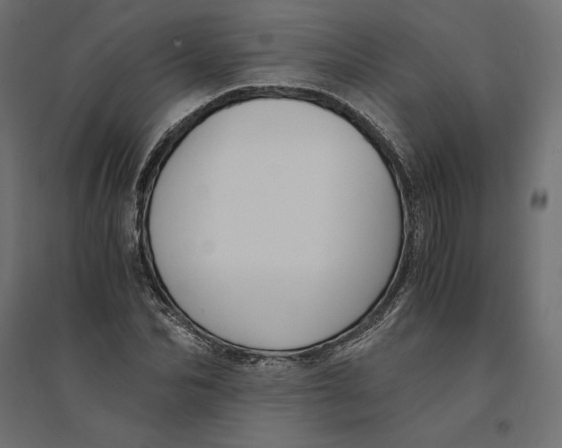 X0000094370974200711241956