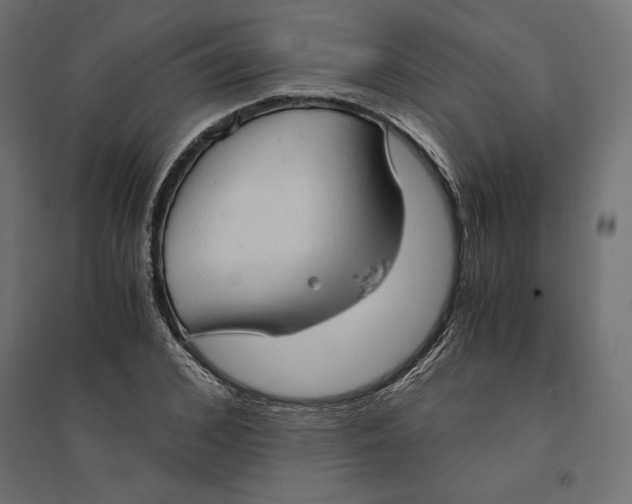 X0000094370976200711241956