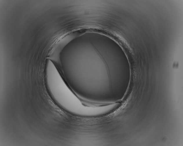 X0000094370977200711241956