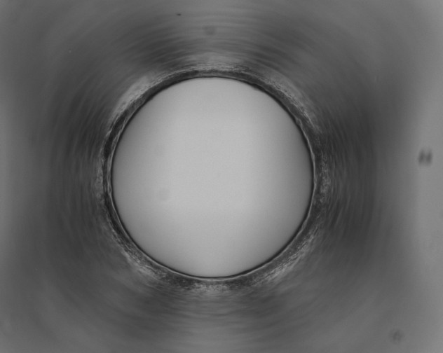 X0000094370978200711241956