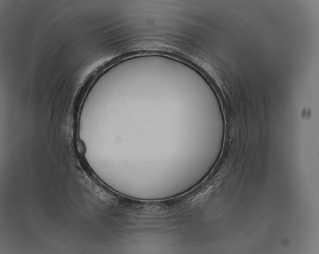 X0000094370979200711241956