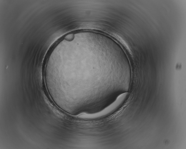 X0000094370980200711241956