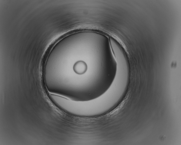 X0000094370981200711241956