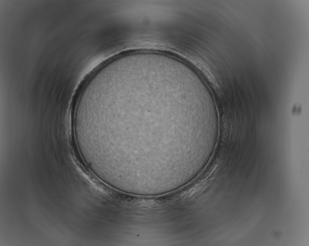 X0000094370982200711241956