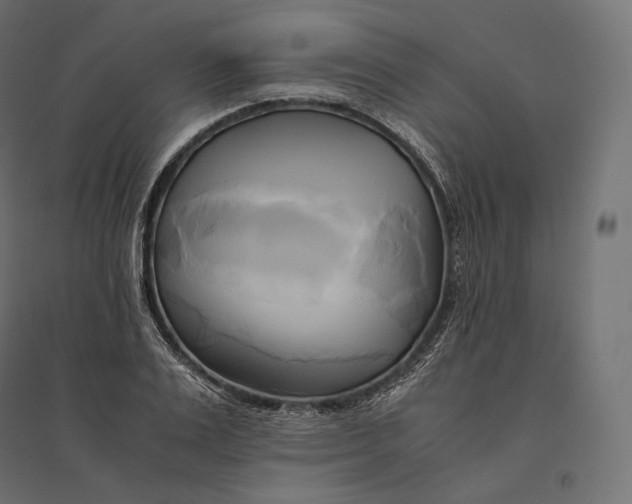 X0000094370983200711241956