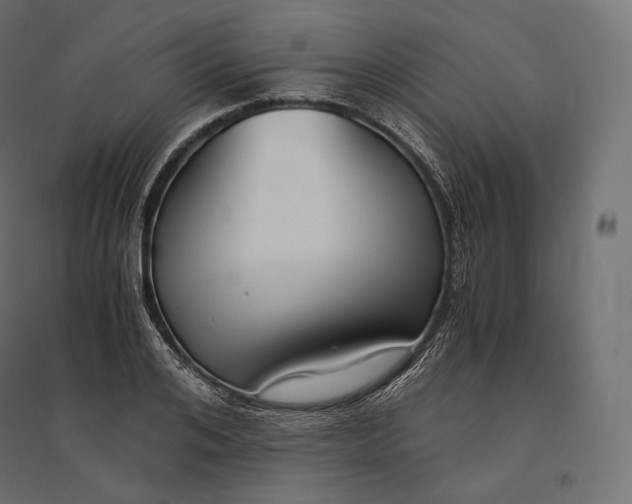 X0000094370984200711241956