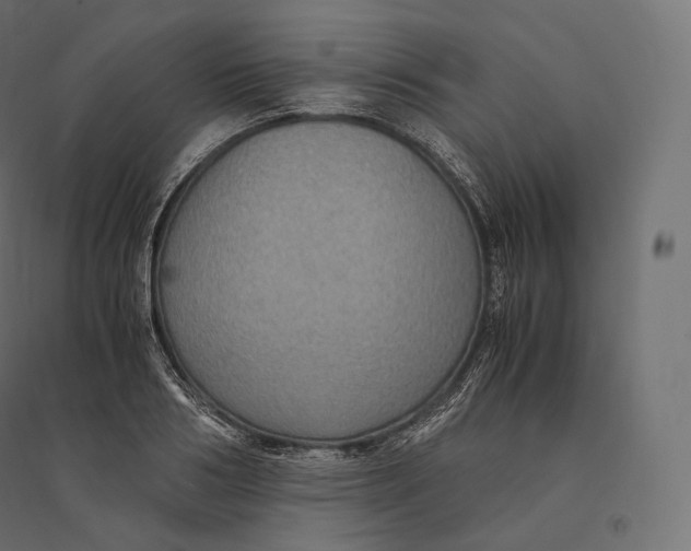 X0000094370986200711241956