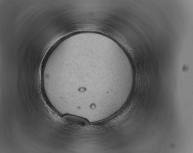 X0000094370988200711241956