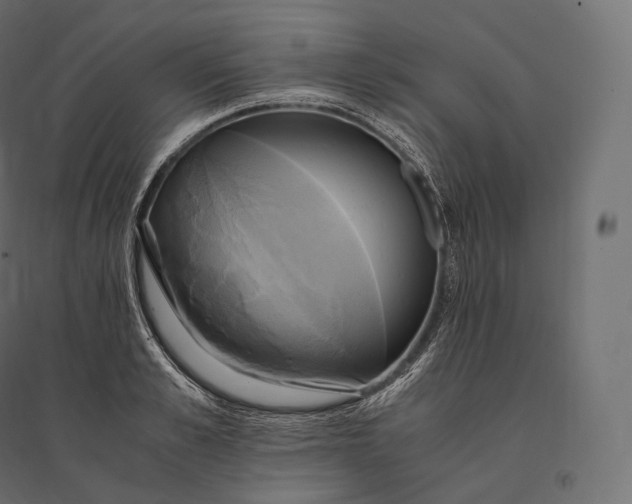 X0000094370989200711241956