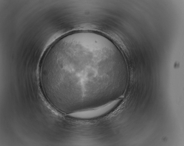 X0000094370990200711241956