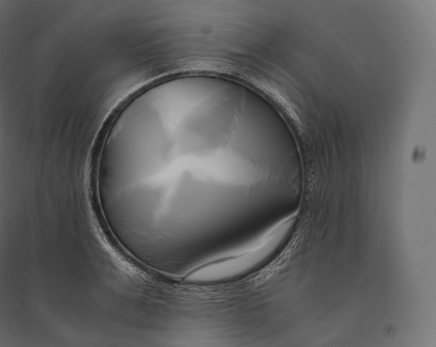 X0000094370991200711241956