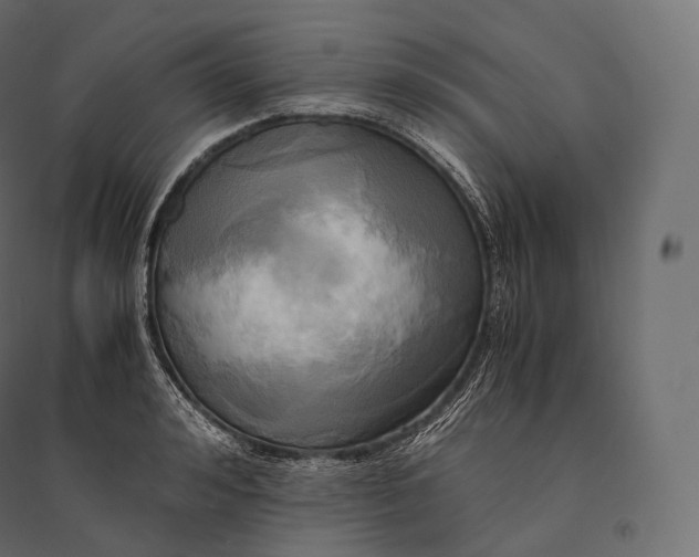 X0000094370992200711241956