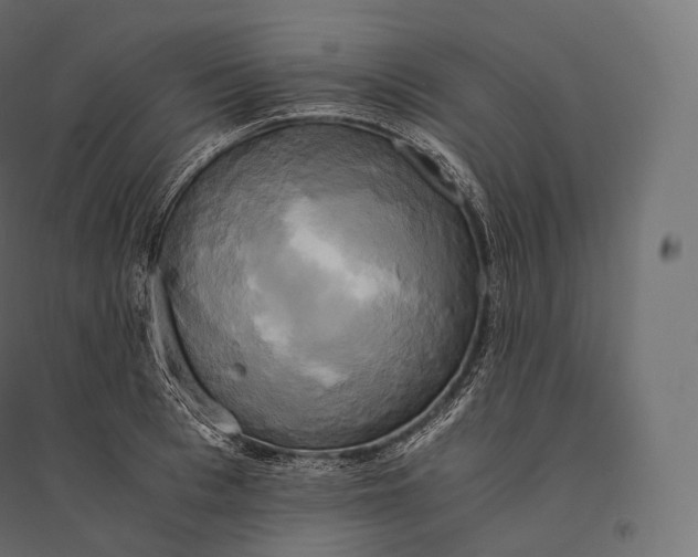 X0000094370993200711241956