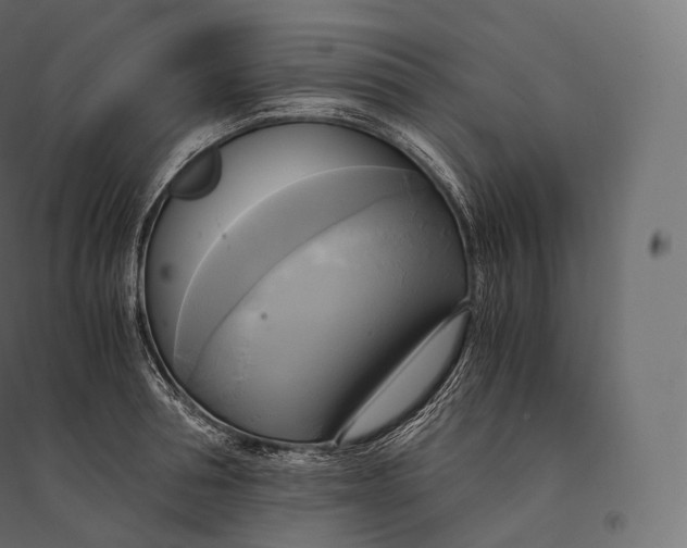 X0000094370994200711241956