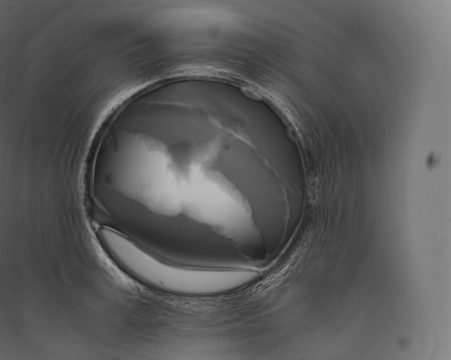 X0000094370995200711241956